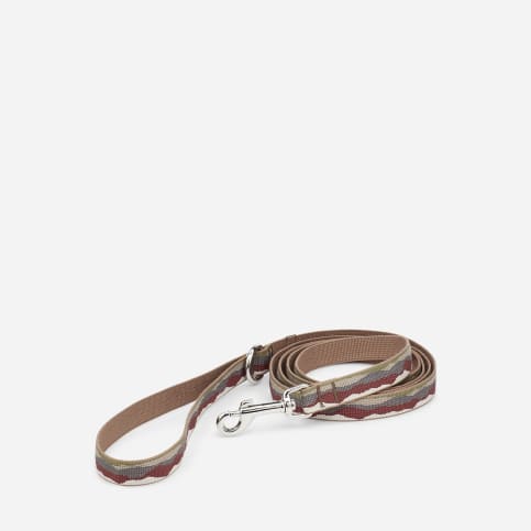 Teva dog collar top