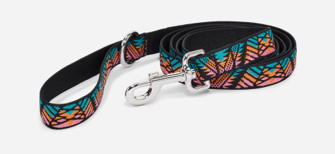 Teva dog collar top