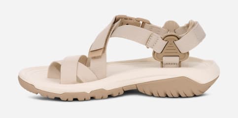 テバ公式【 ハリケーン テラ ダクトル|HURRICANE TERRA DACTYL