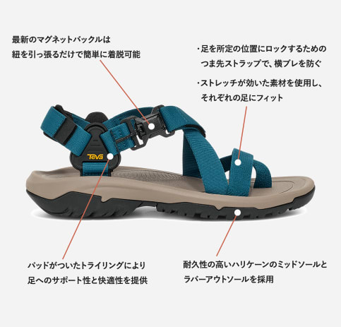 テバ公式【 ハリケーン テラ ダクトル|HURRICANE TERRA DACTYL