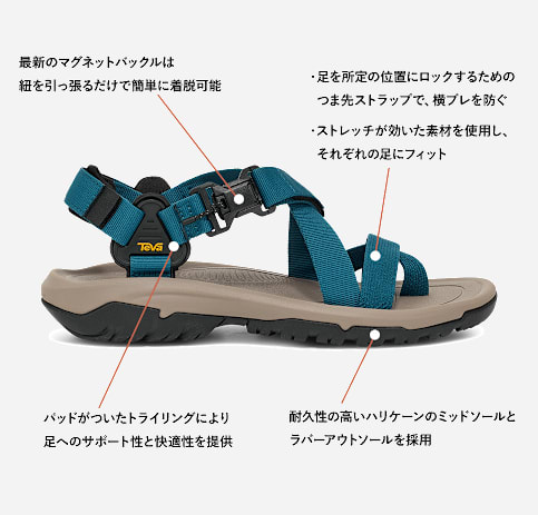 テバ公式【 ハリケーン テラ ダクトル|HURRICANE TERRA DACTYL