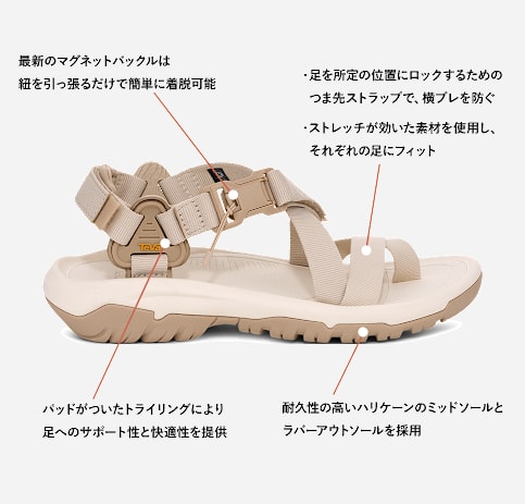 テバ公式【 ハリケーン テラ ダクトル|HURRICANE TERRA DACTYL