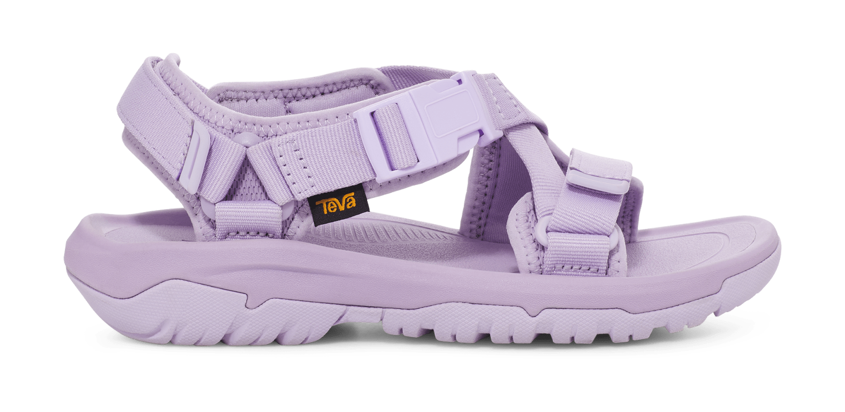 Lilac tevas 2025