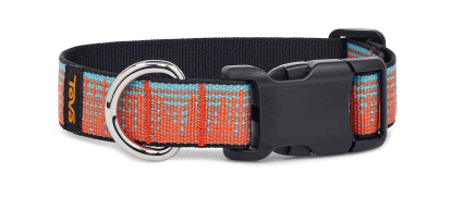 Sun and moon dog collar online