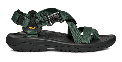 HURRICANE TERRA DACTYL