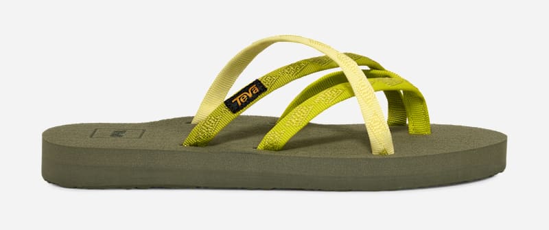 TEVA Women's Olowahu Flip-Flop Sandals Flip Flops in Sulphur Springs Multicolor, Size 10