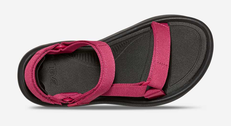 Women's Hurricane XLT2 Ampsole Sandal | Teva®