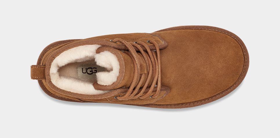 Harkley UGG Official