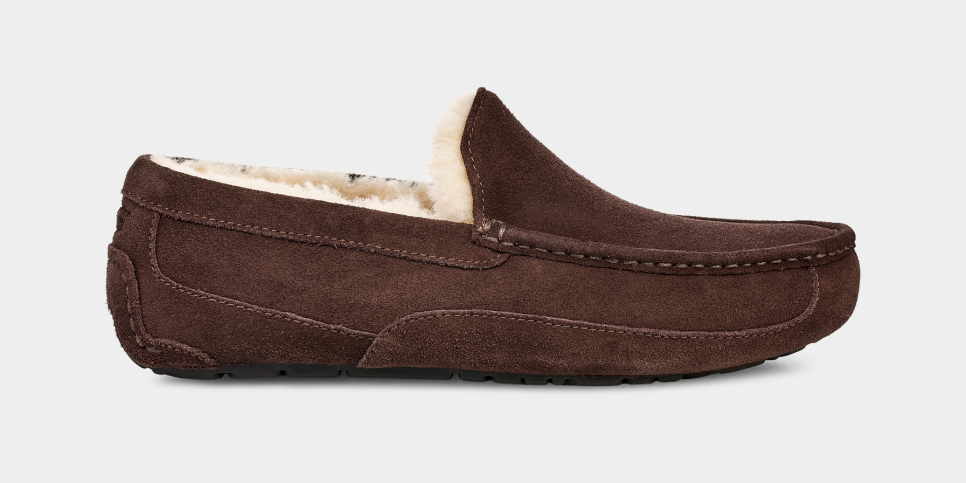 Ascot ugg slippers on sale outlet
