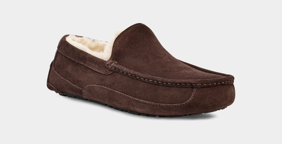 Ugg ascot salty blue clearance