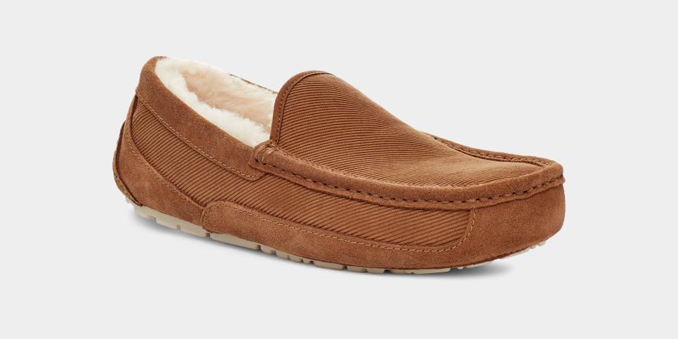 Ugg mens hotsell ascot slippers nordstrom