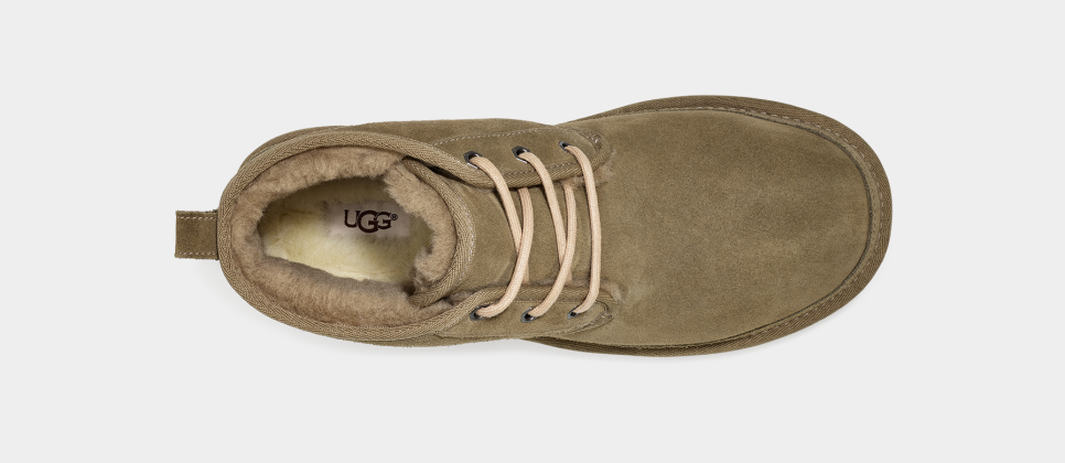 Tan 2024 man uggs