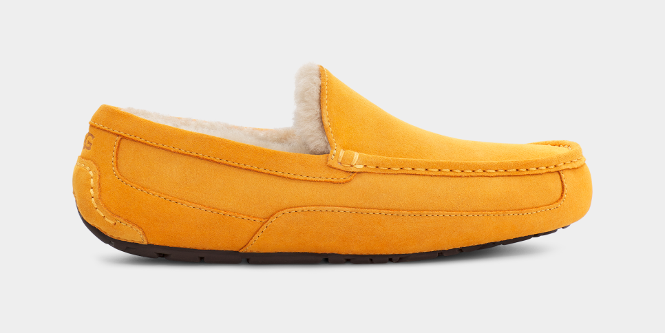Ascot ugg slippers hotsell on sale