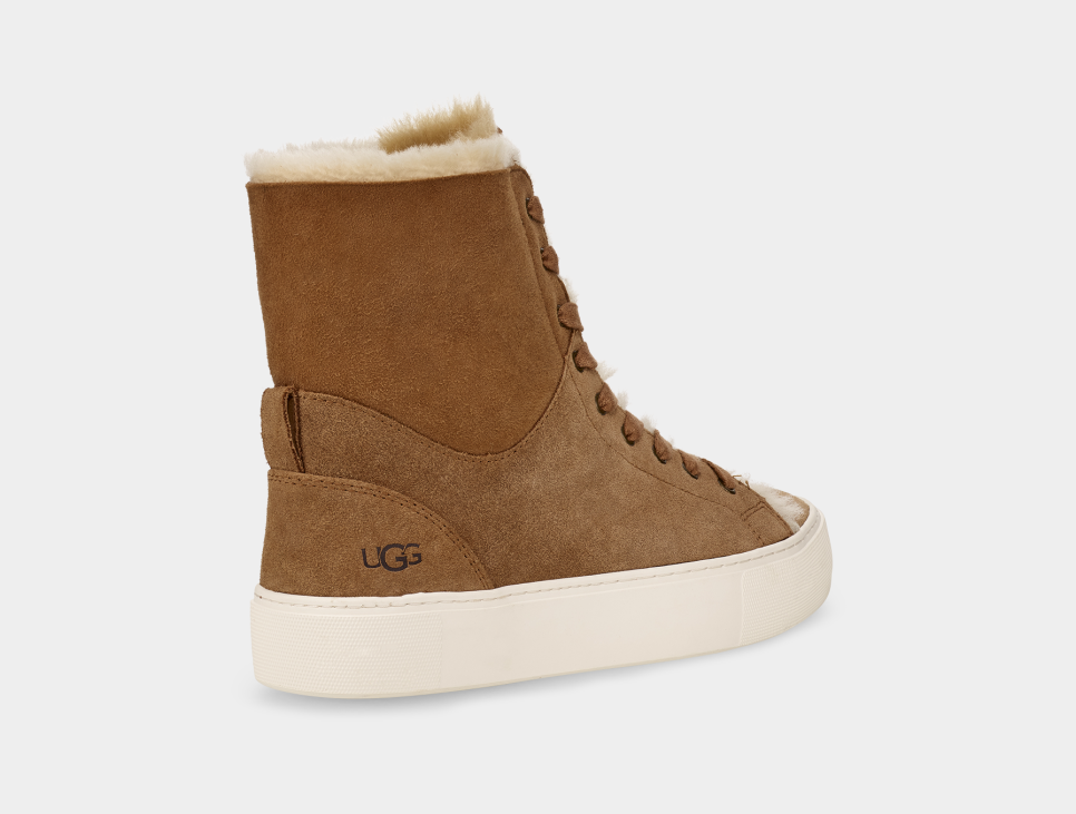 Ugg women's bren sales sneaker