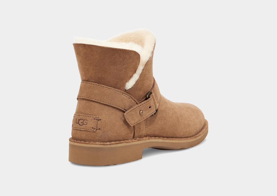 Ugg karel shop