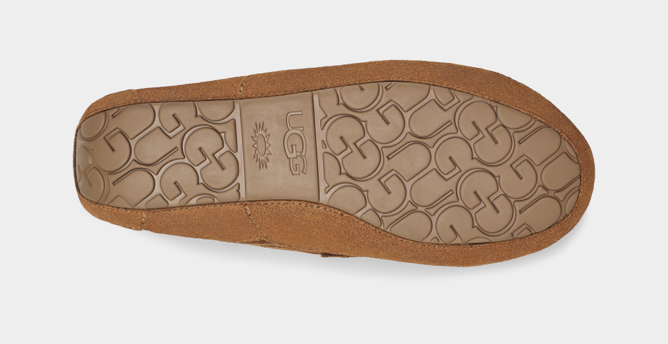 Ugg ascot 2025 corduroy