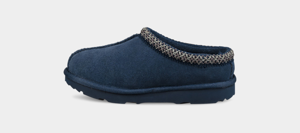 Mens ugg discount slippers blue