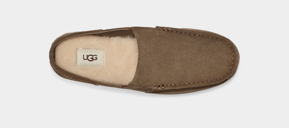 Ugg best sale alamar slippers