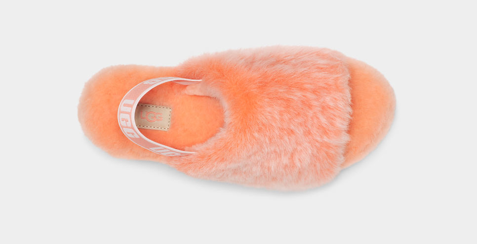 Feather online ugg slippers