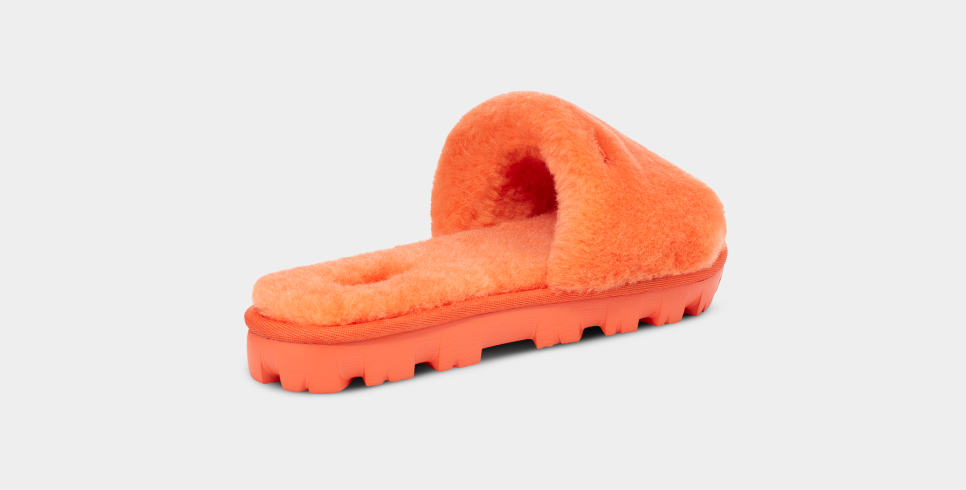 Cozette Slipper UGG