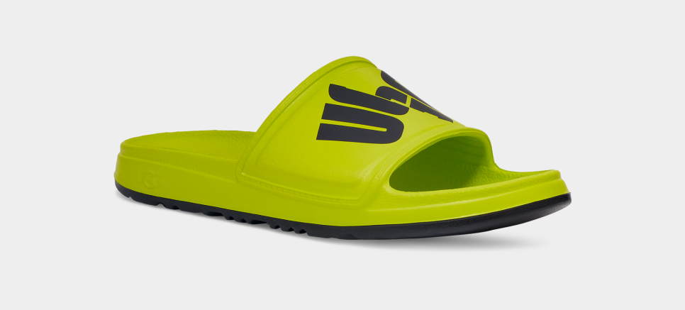 wilcox slide chopd