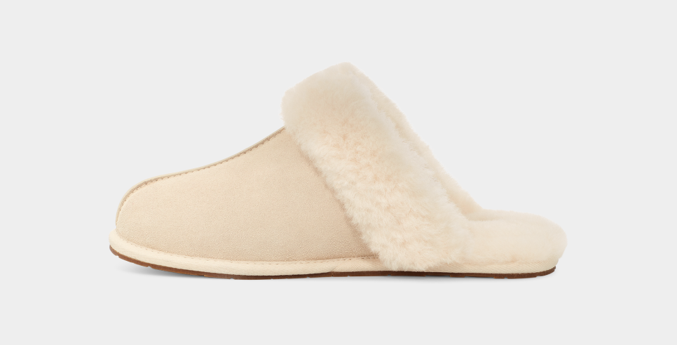 Women's ugg scuffette slippers hot sale sale