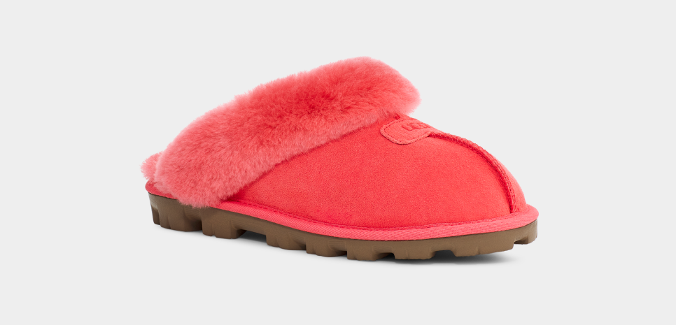 Ugg coquette best sale slipper grapefruit