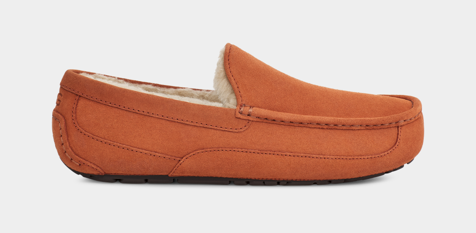 Men s Ascot Slipper UGG Official