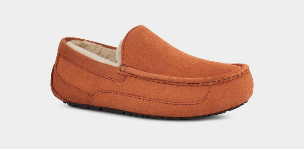 Uggs ascot sale online