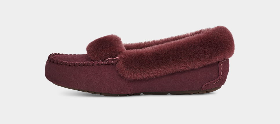 Ugg dakota bow slipper black hotsell