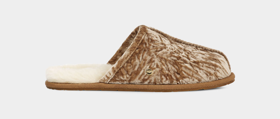 Crushed velvet uggs best sale