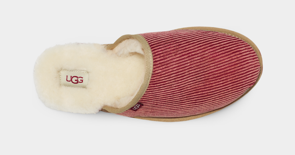 Scuff corduroy ugg cheap