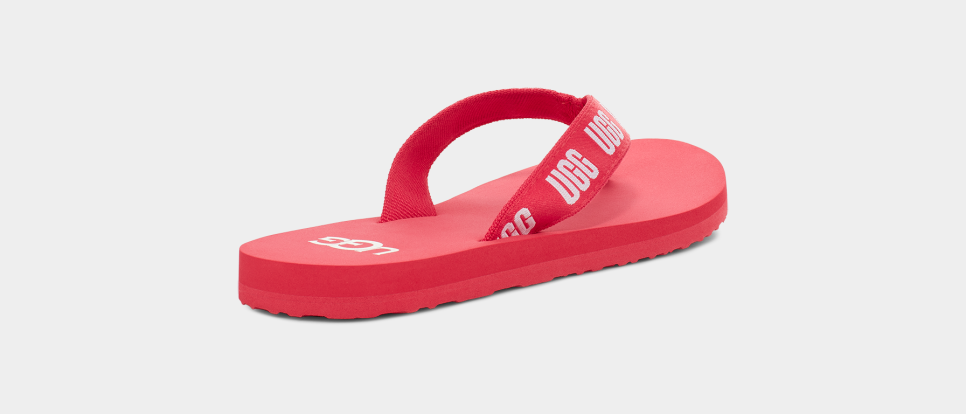 Ugg graphic 2025 flip flop