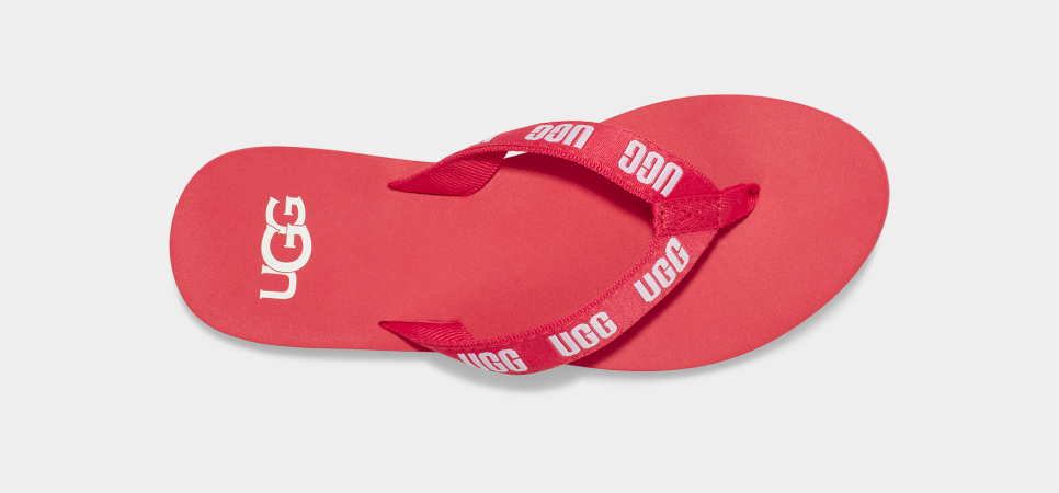 Ugg graphic 2025 flip flop