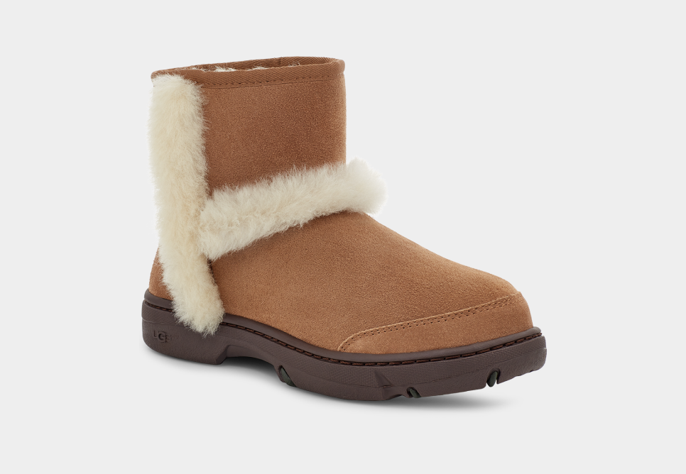 Sunburst uggs clearance chestnut