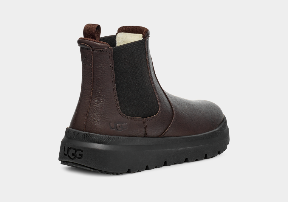 Camper shop turtle boots