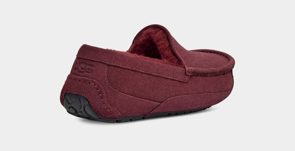 Ugg ascot clearance wool slippers