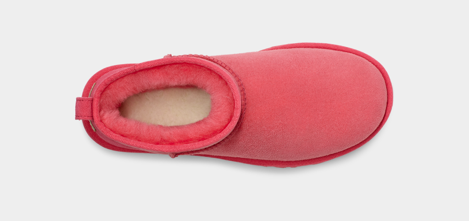 Womens ugg mini boots sale sales