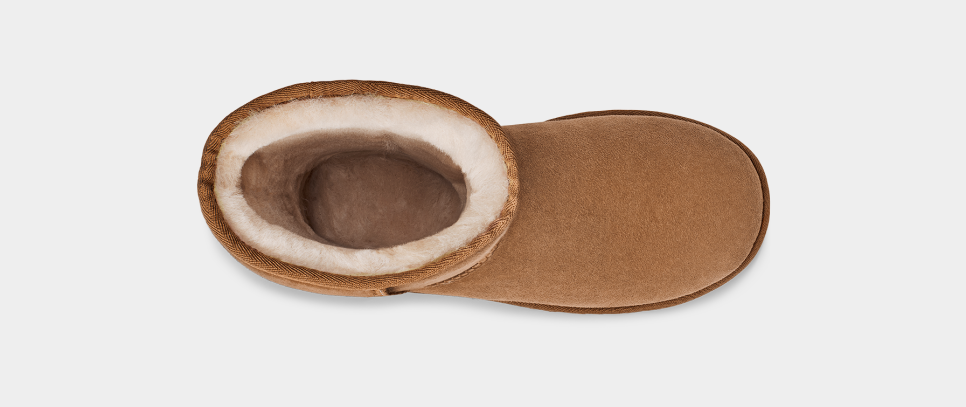 Extra Wide Calf Ultimate Tall Sheepskin Boots – Kiwi Sheepskins
