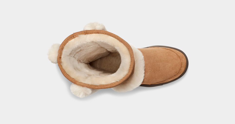 Ugg sunburst tall chestnut deals