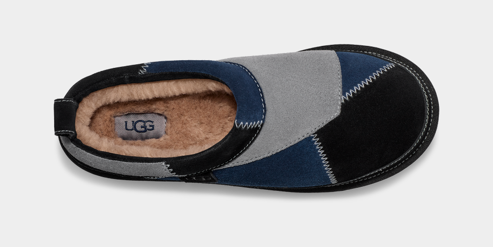 tasman logo ugg
