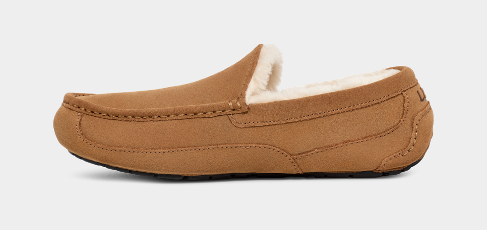 Ascot Slipper | UGG