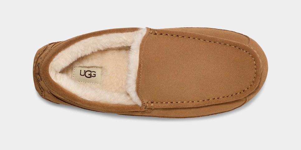 Ascot Slipper | UGG