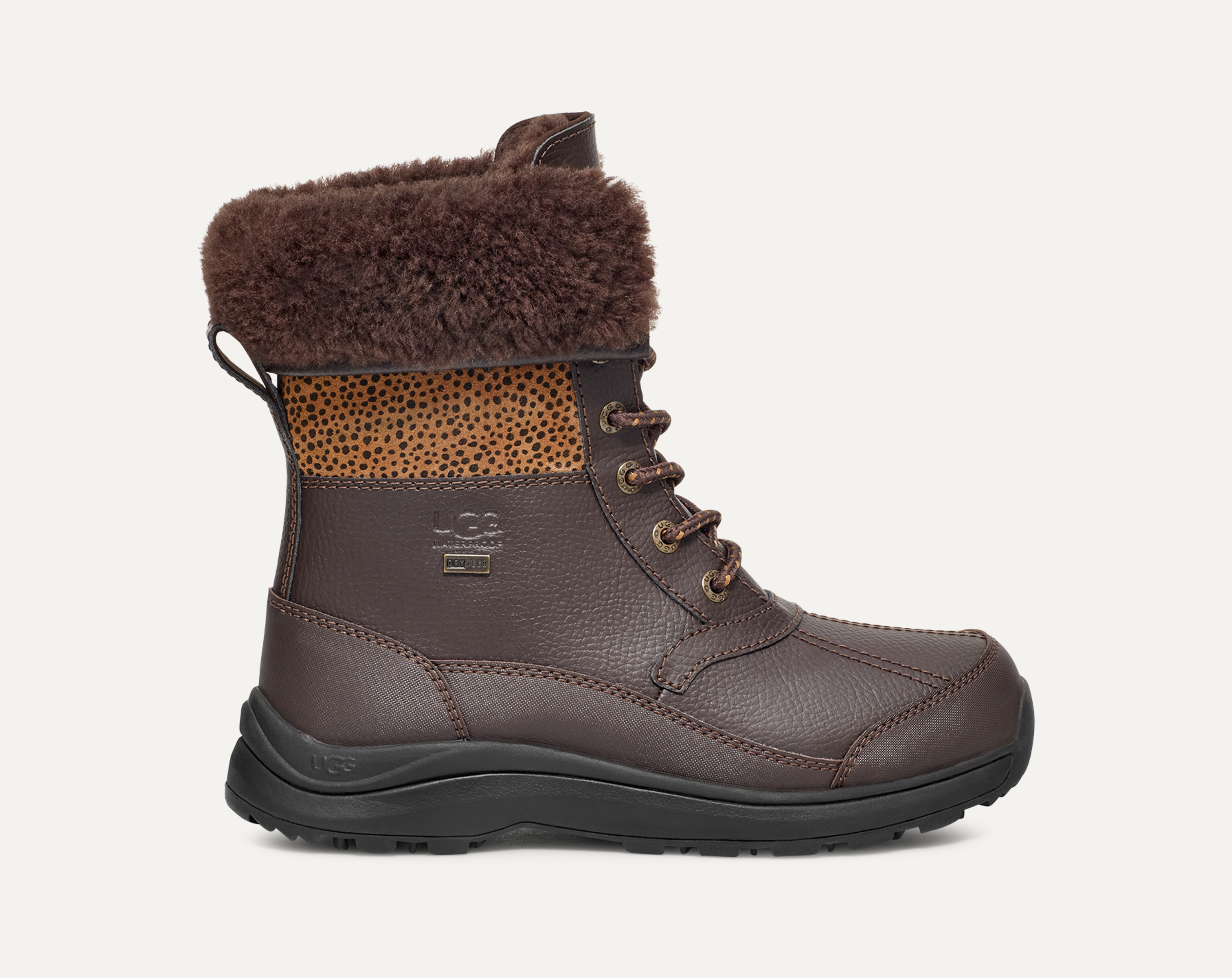 大学 割引 UGG UGG® | Women for Cheetah Micro Zaylee 靴