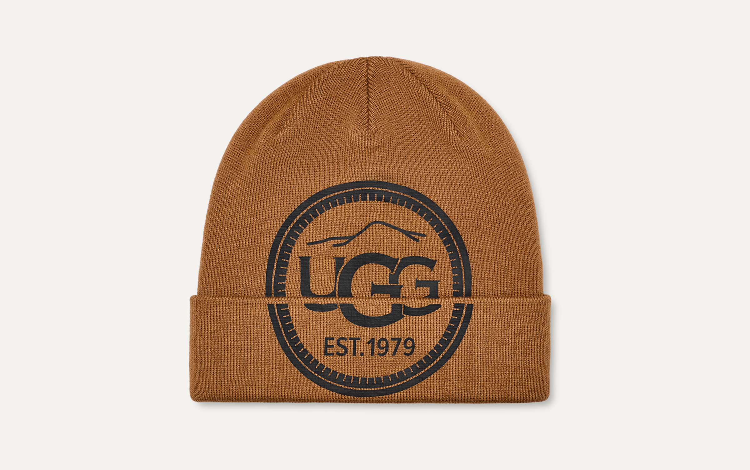 Ugg stocking cap best sale