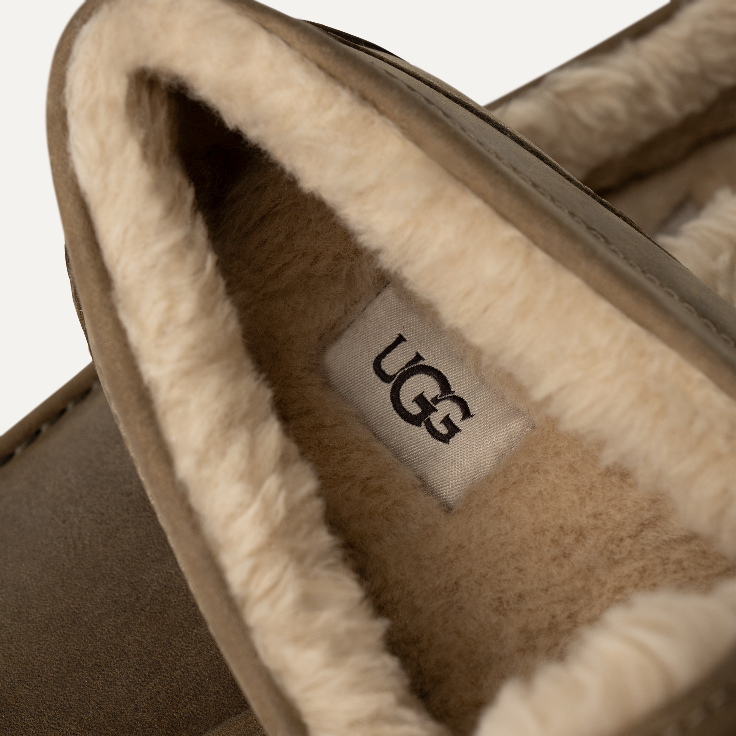 UGG Ascot for Men UGG