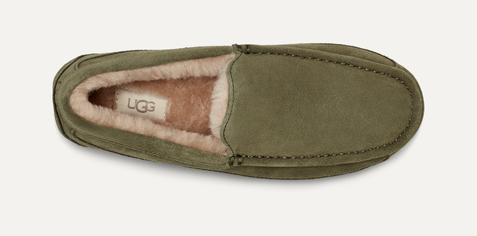 Men's Ascot Slipper | UGG® Official