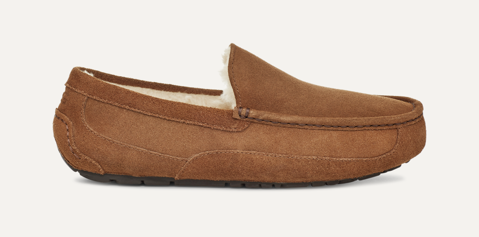 Men s Ascot Slipper UGG