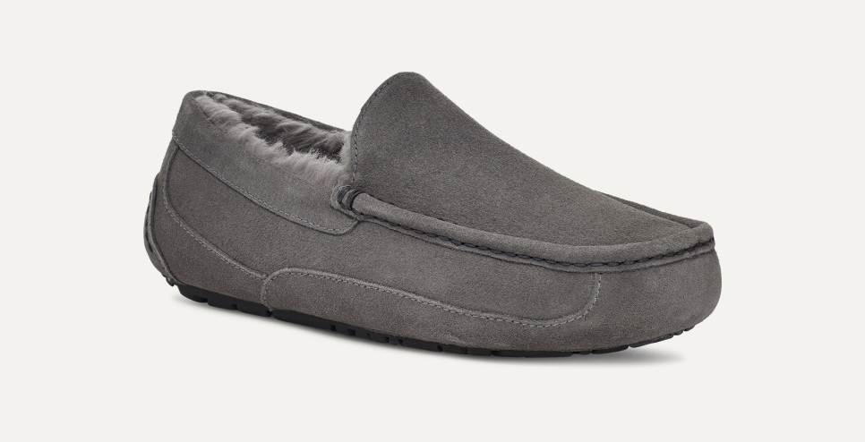 Uggs ascot slippers sale hot sale