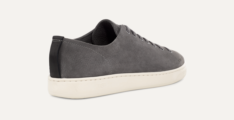 Pismo sneaker ugg outlet